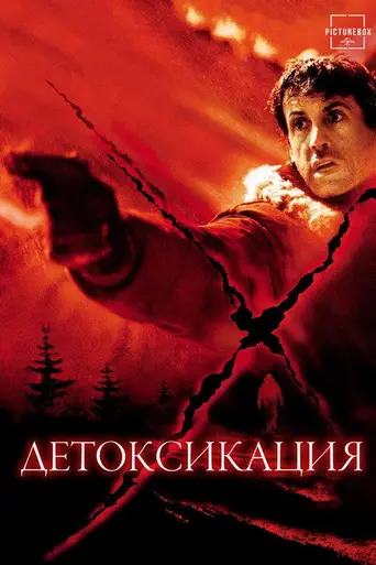 Детоксикация (2002)