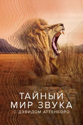 Secret World of Sound (2024)