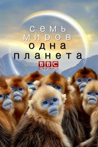 Seven Worlds, One Planet (2019)