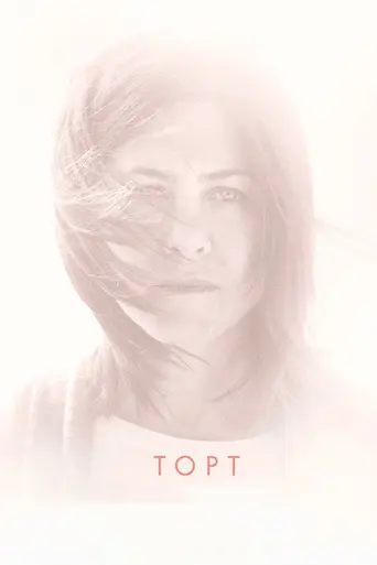 Торт (2014)
