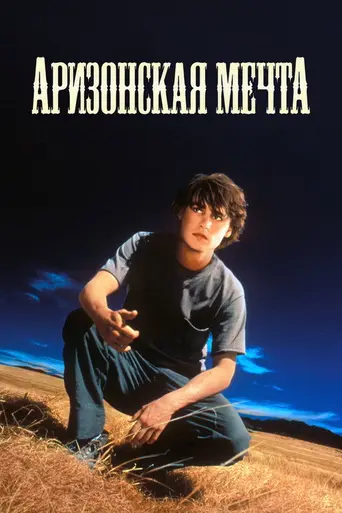Аризонская мечта (1993)