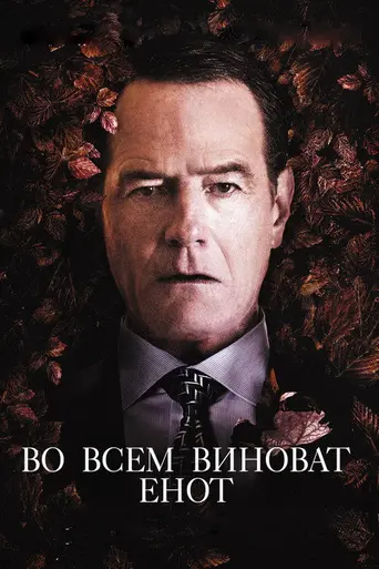 Во всём виноват енот (2016)