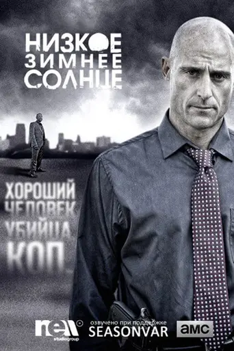 Низкое зимнее солнце (2013)