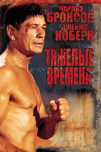 Уличный боец (1975)