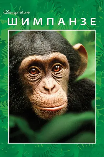 Chimpanzee (2012)
