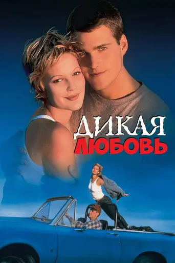 Безумная любовь (1995)