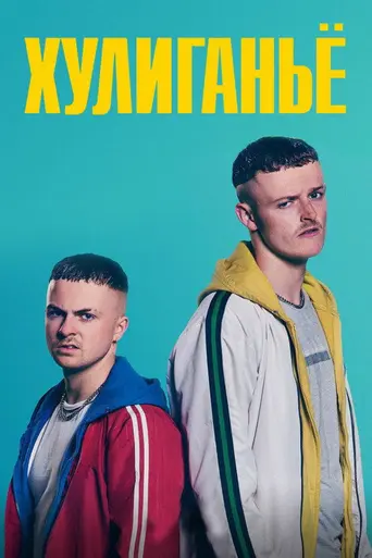 The Young Offenders (2016)