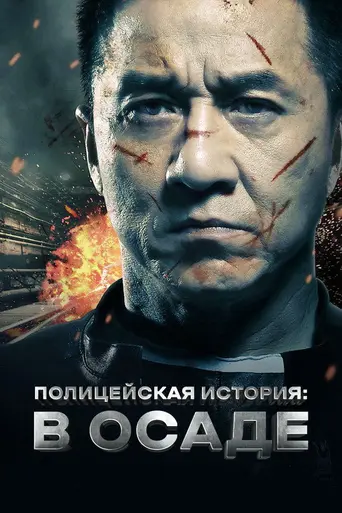 Полицейская история 2013 (2013)