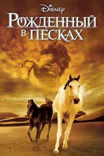 The Young Black Stallion (2003)
