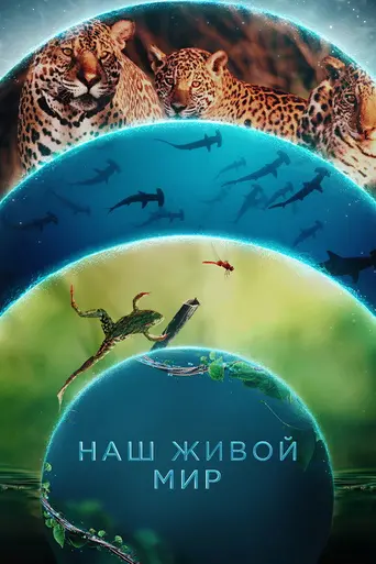 Our Living World (2024)