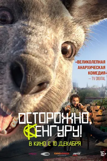 Осторожно, Кенгуру! (2020)