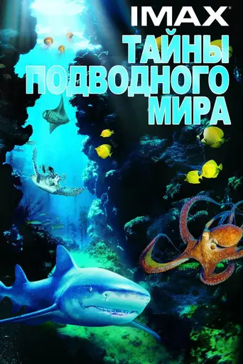 Тайны подводного мира 3D (2006)