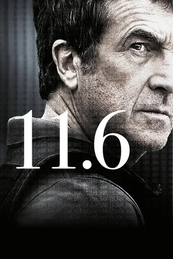 11.6 (2013)