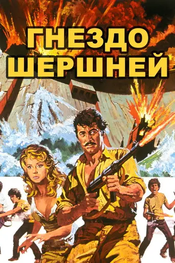 Hornets’ Nest (1970)