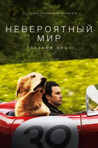 Невероятный мир глазами Энцо (2019)