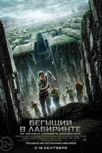 Бегущий в лабиринте (2014)
