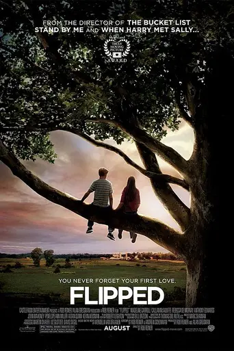 Привет, Джули! (2010)