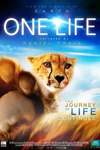 One Life (2011)