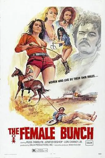 The Female Bunch (1971)