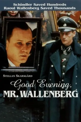 Good Evening, Mr. Wallenberg (1990)