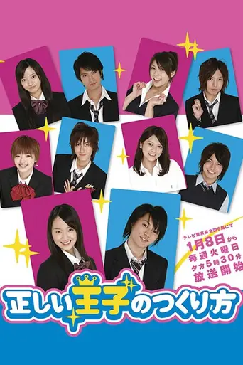 Tadashii Ouji no Tsukuri Kata (2008)