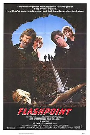 Вспышка (1984)