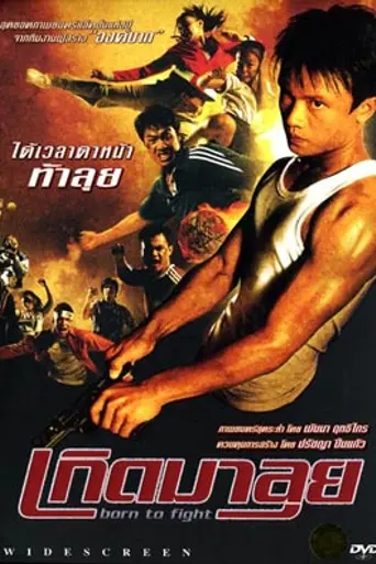 Рождённый сражаться (2004)