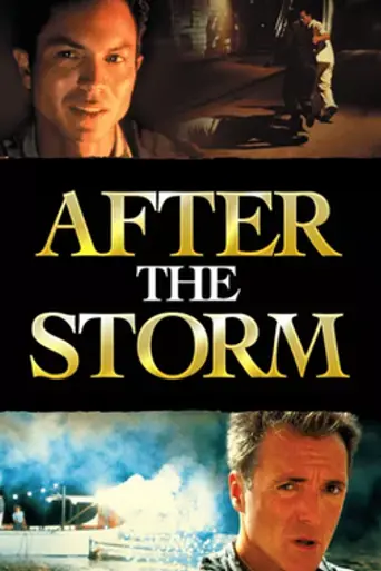 Tras la tormenta (2001)