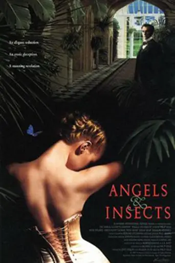 Ángeles e insectos (1995)