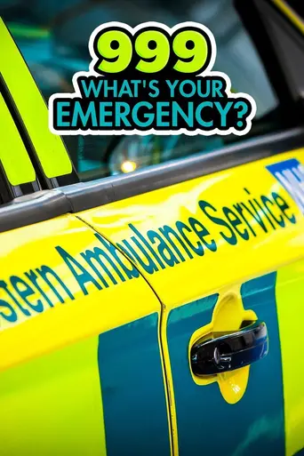 999: What's Your Emergency? (2012)