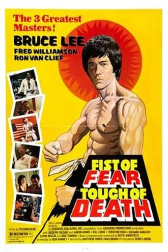 Fist of Fear, Touch of Death (1980)