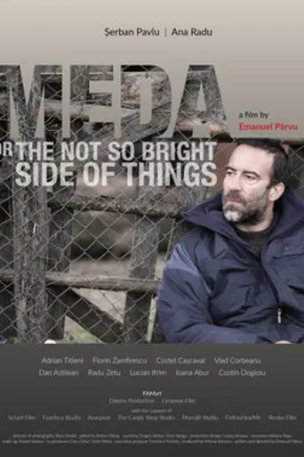 Meda or the Not So Bright Side of Things (2017)