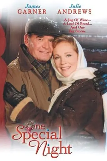 One Special Night (1999)