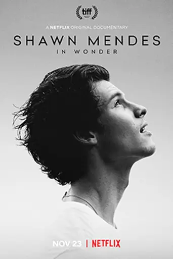 Shawn Mendes: In Wonder (2020)