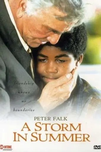 A Storm in Summer (2000)