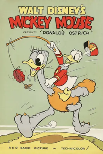 Страус Дональда (1937)