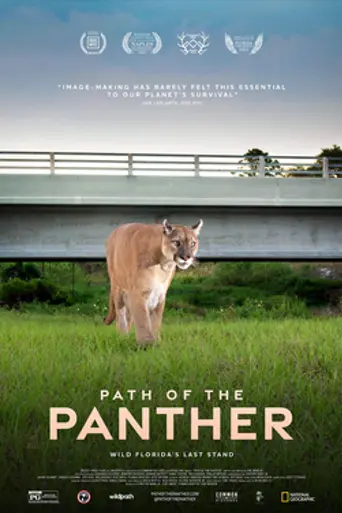 Path of the Panther