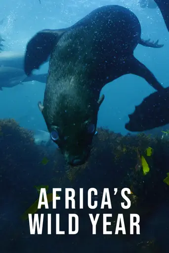 Africa's Wild Year (2021)