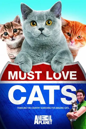 Must Love Cats (2011)
