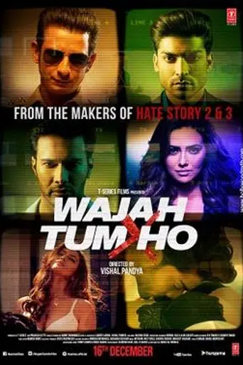 Wajah Tum Ho (2016)