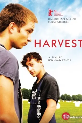 Урожай (2011)