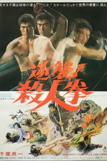 The Street Fighter's Last Revenge (1974)