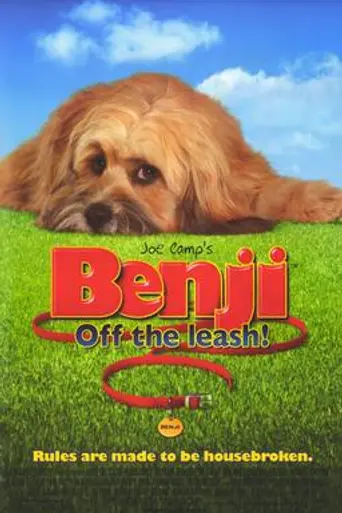 Возвращение Бенджи (2004)
