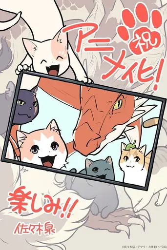 The Cat and the Dragon (2026)