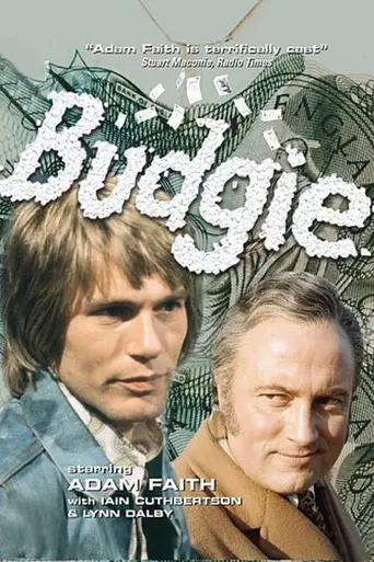 Budgie (1971)