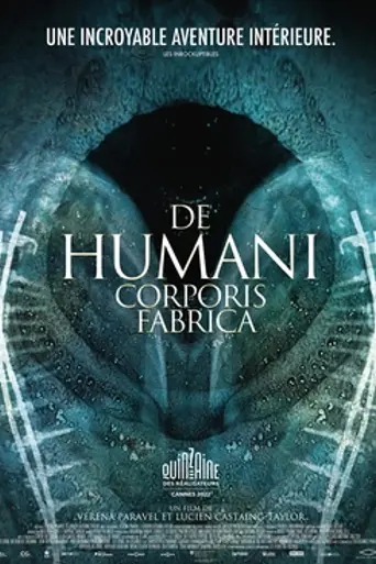 De Humani Corporis Fabrica (2022)