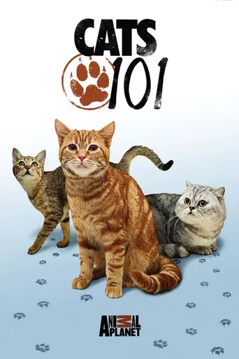 Cats 101 (2008)