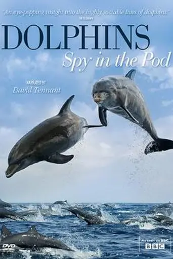 Dolphins - Spy in the Pod (2014)