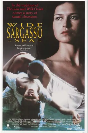El gran mar de los Sargazos (1993)