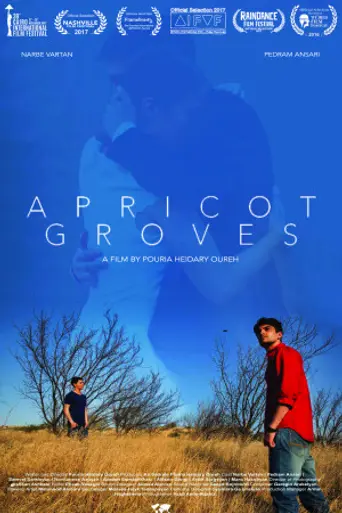 Абрикосовые рощи (2016)